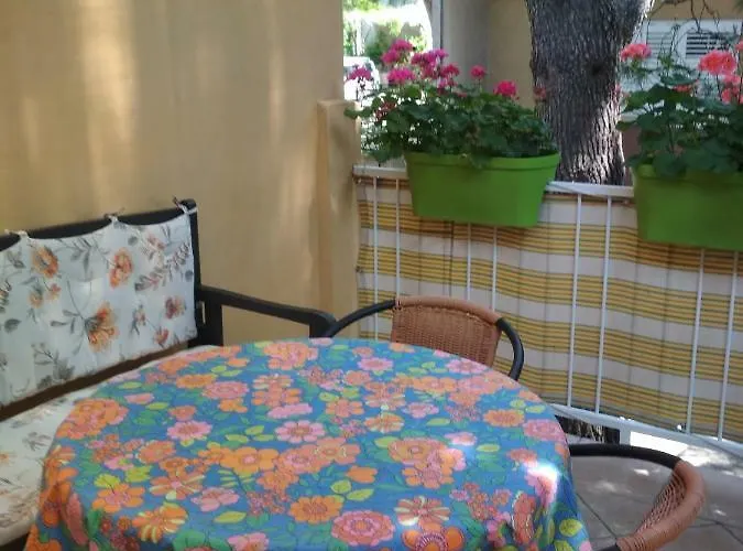 Carevic 巴什卡沃达