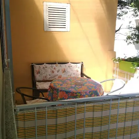 Carevic Guest house